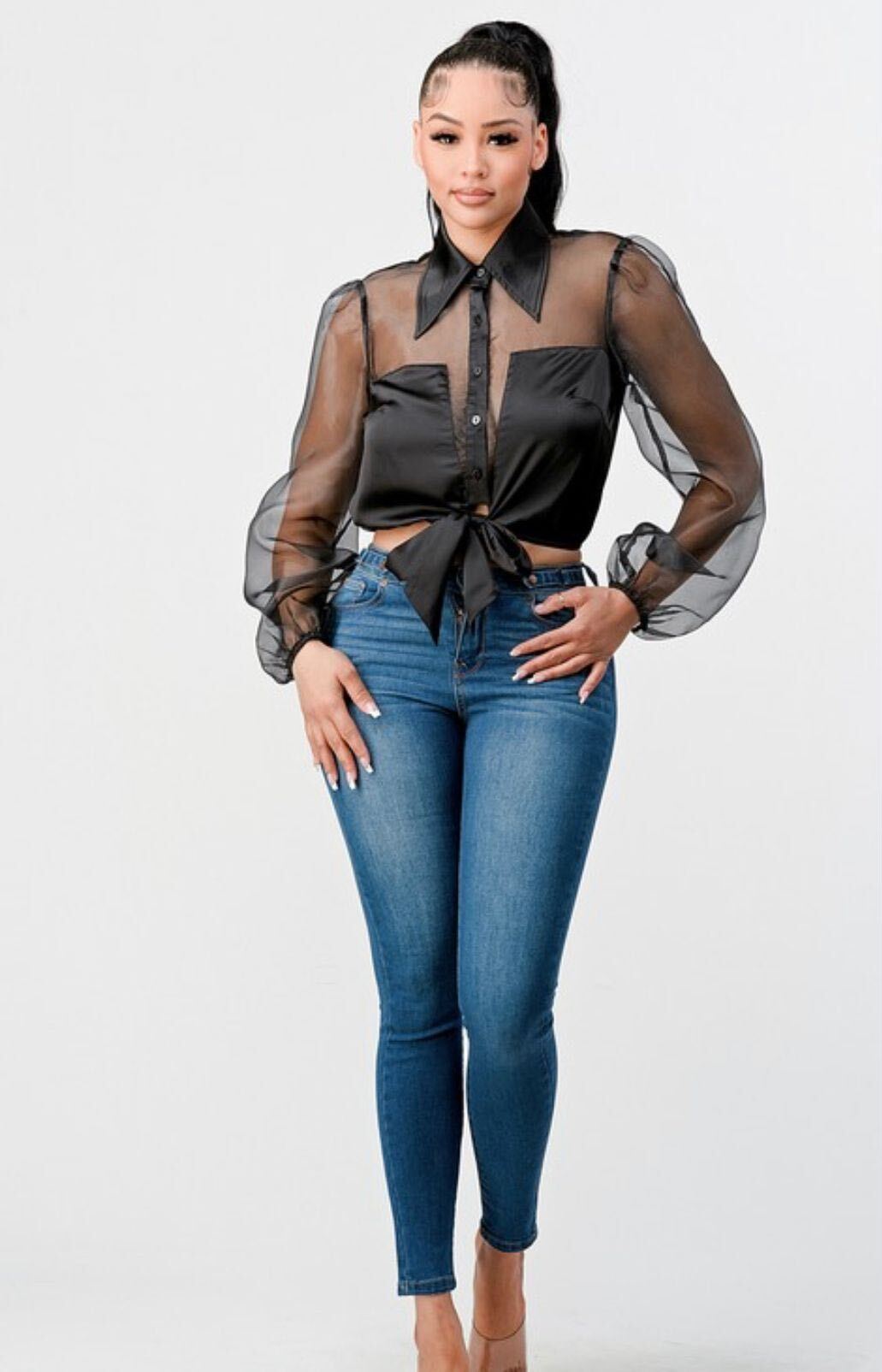 Giselle Sheer Mesh Button Down Top.